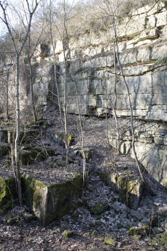 Alte aufgelassene Steinbrüche - Rückzugsort für Flora und Fauna (Bild: Thomas Langhirt)