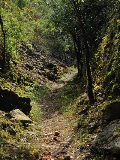 Auf steilem Höhenweg hinauf zum Geotop (Foto: © Thomas Langhirt)