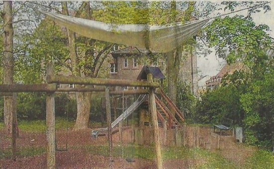 Saatkrähennester hoch in den Bäumen über einem Kinderspielplatz (Foto: Main-Post)