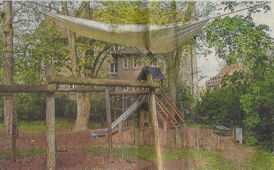 Saatkrähennester hoch in den Bäumen über einem Kinderspielplatz (Foto: Main-Post) Saatkrähennester hoch in den Bäumen über einem Kinderspielplatz (Foto: Main-Post)