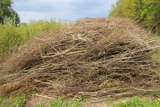 Ein Reisighaufen - oft letzte Rückzugsmöglichkeiten für viele Tierarten (Bild: Björn Neckermann)