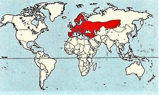 Verbreitungsgebiet der Ringelnatter