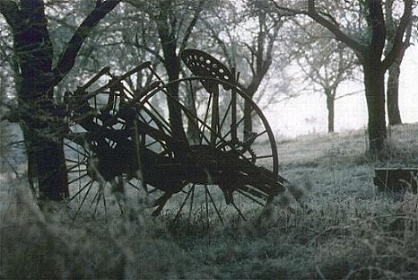 Bald ist es wieder soweit und der Frost hält Einzug in der alten Streuobstwiese (Bild: Privat)